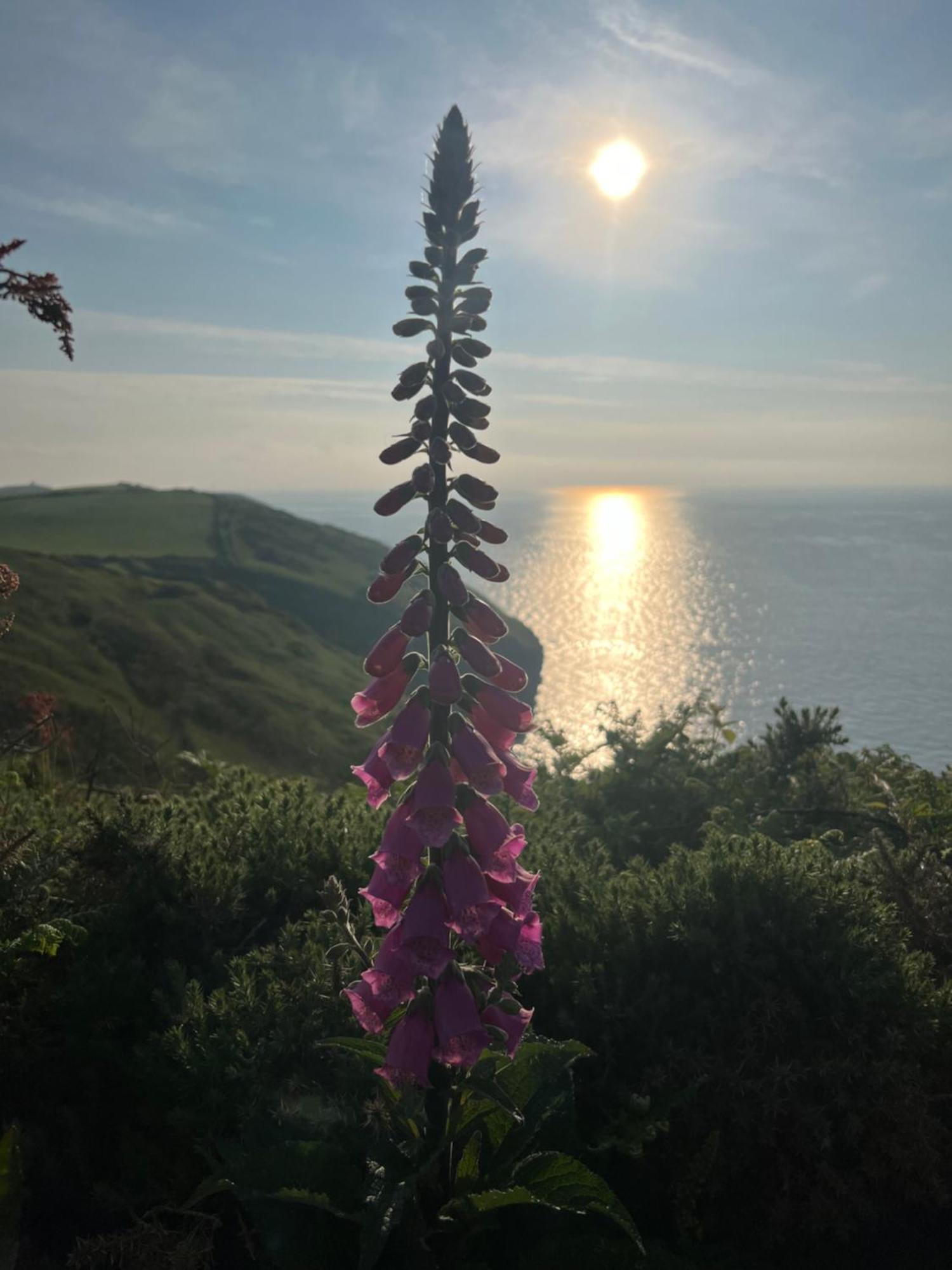 Courtyard Farm Cottages Boscastle Exteriér fotografie