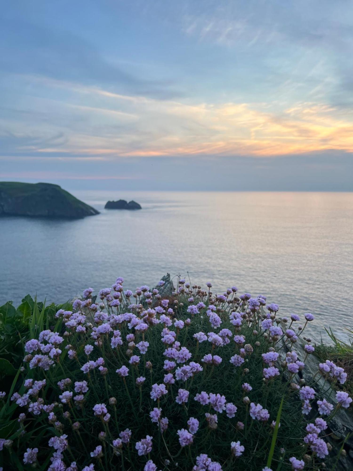 Courtyard Farm Cottages Boscastle Exteriér fotografie