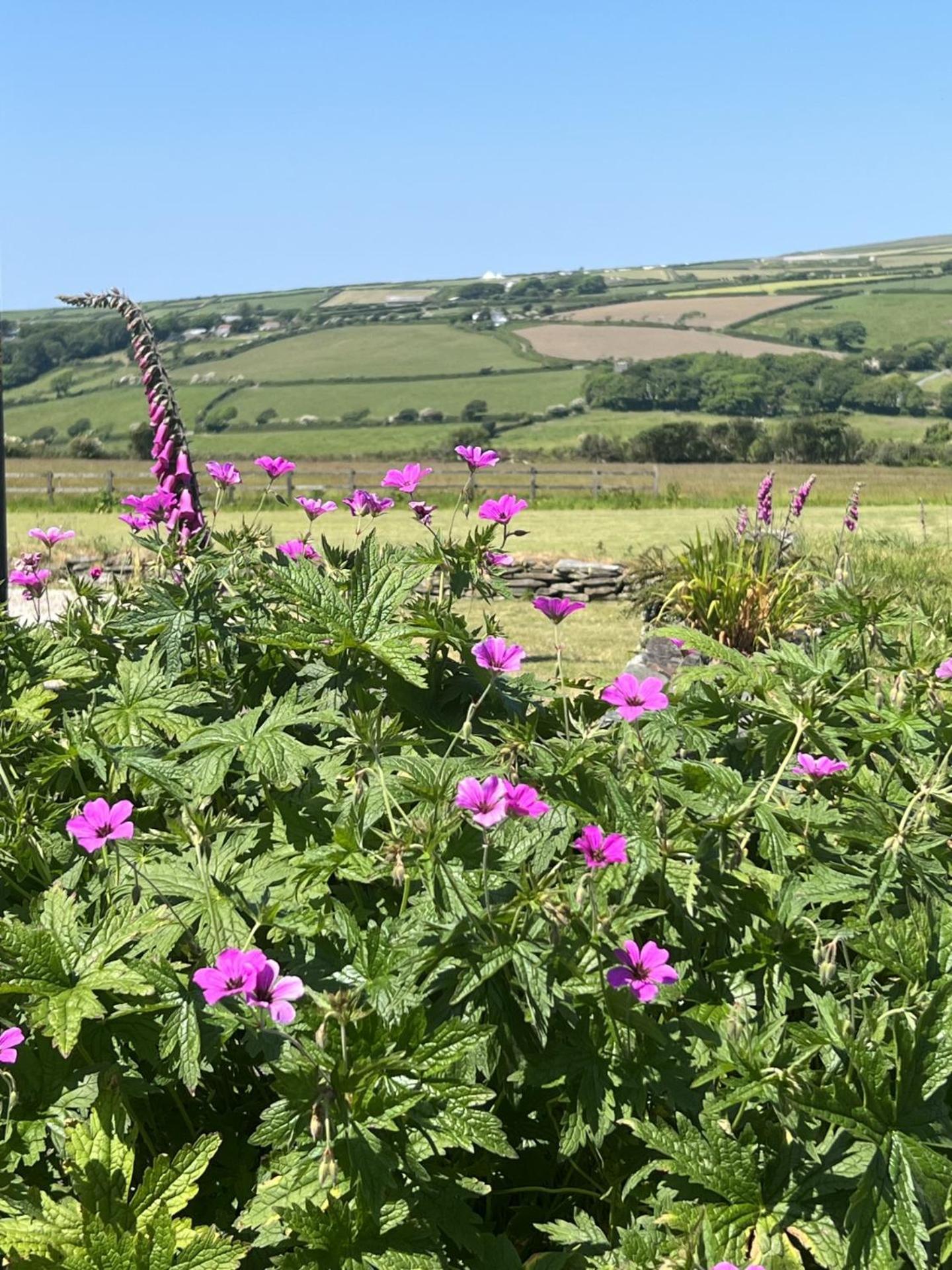 Courtyard Farm Cottages Boscastle Exteriér fotografie